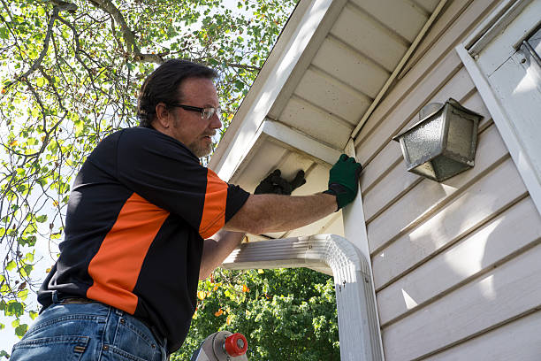 Affordable siding repair and maintenance services in North Ridgeville, OH
